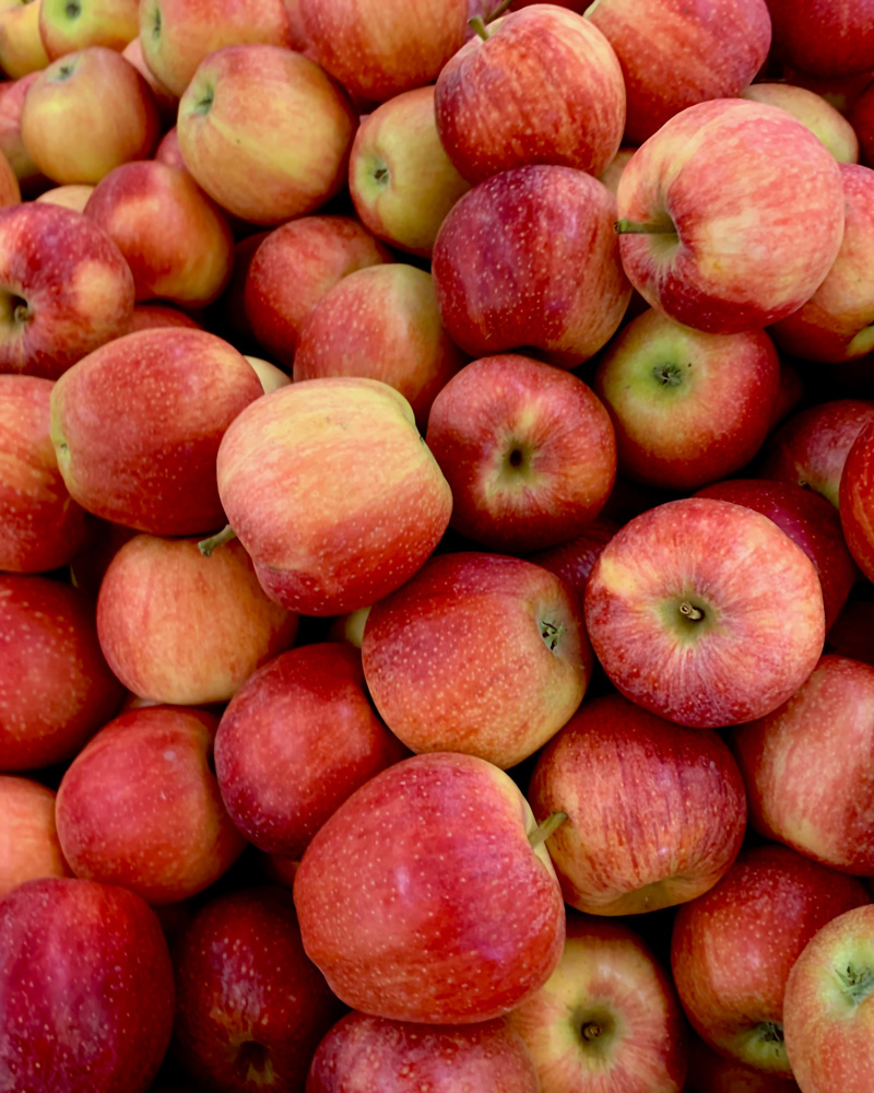 Apples