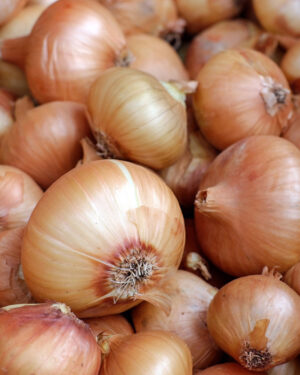 Onion