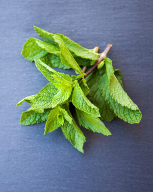 Mint