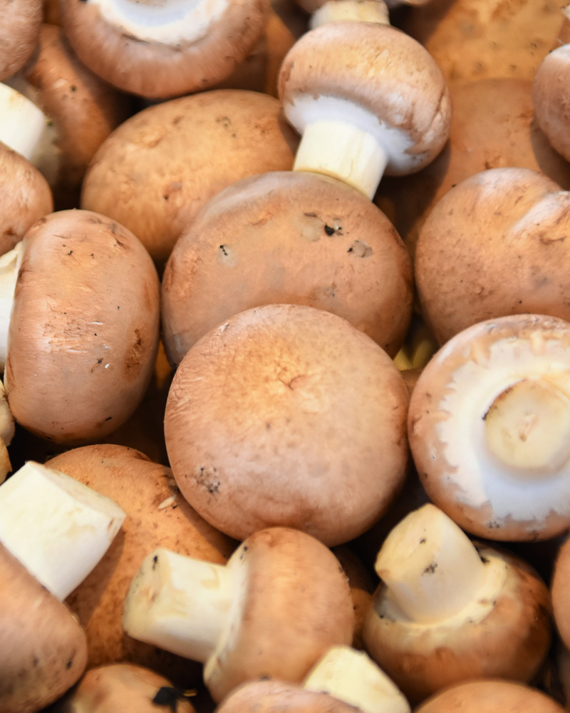 Mushrooms
